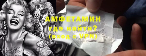 ГАЛЛЮЦИНОГЕННЫЕ ГРИБЫ Михайлов