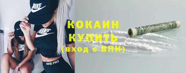 ГАЛЛЮЦИНОГЕННЫЕ ГРИБЫ Михайлов