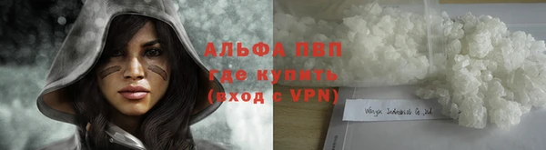 стаф Михайловск