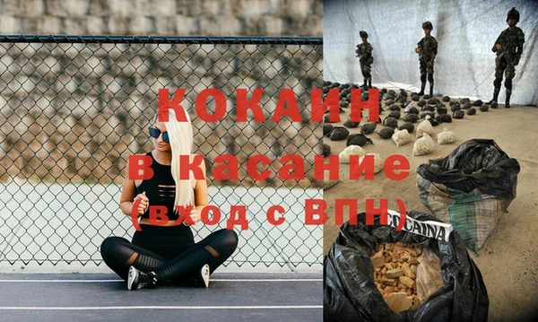 ГАЛЛЮЦИНОГЕННЫЕ ГРИБЫ Михайлов