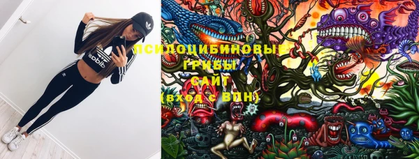ГАЛЛЮЦИНОГЕННЫЕ ГРИБЫ Михайлов