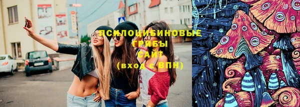 винт Михайловка