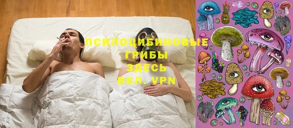 стаф Михайловск