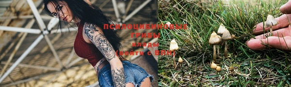винт Михайловка