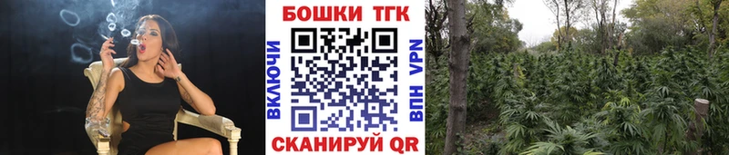 Купить закладки  Слюдянка  Конопля марихуана 